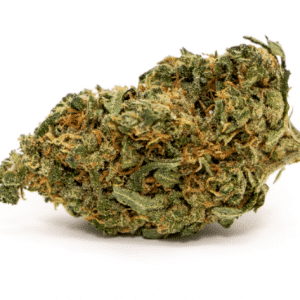 Gorilla 2 gr